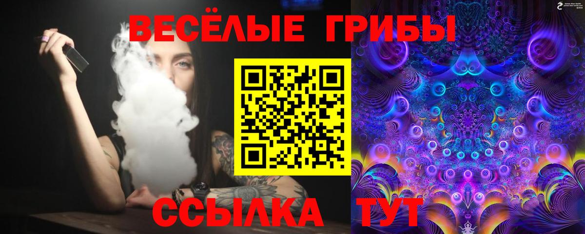 Галлюциногенные грибы Psilocybe Чехов