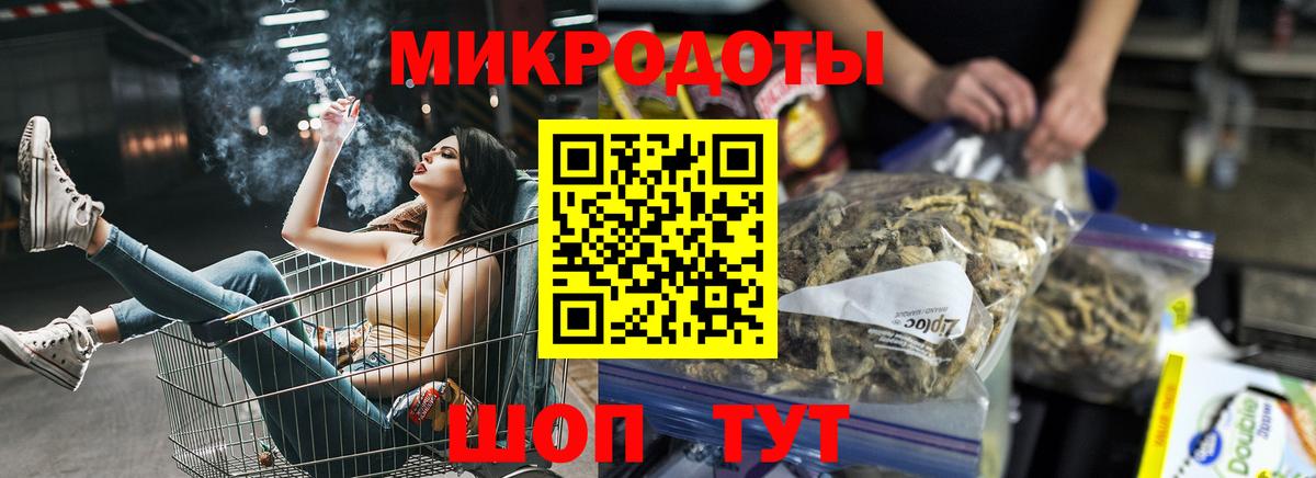 Чехов  Галлюциногенные грибы Psilocybine cubensis  Вход с VPN 